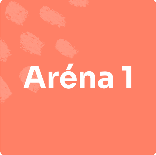 Arena 1